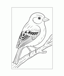 Ausmalbild Tiere 068