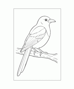 Ausmalbild Tiere 069