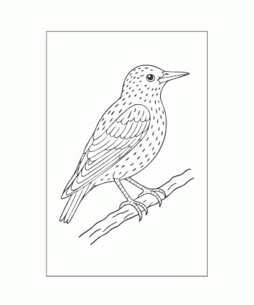 Ausmalbild Tiere 070