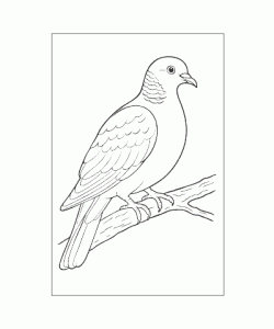 Ausmalbild Tiere 072