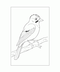 Ausmalbild Tiere 073