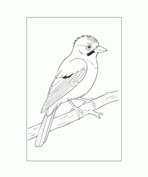 Ausmalbild Tiere 073