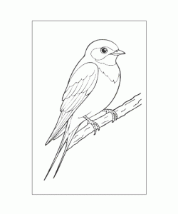 Ausmalbild Tiere 076