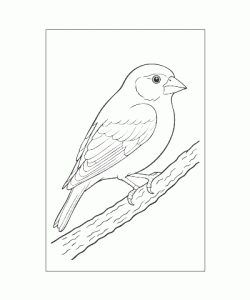 Ausmalbild Tiere 077