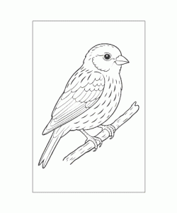 Ausmalbild Tiere 078