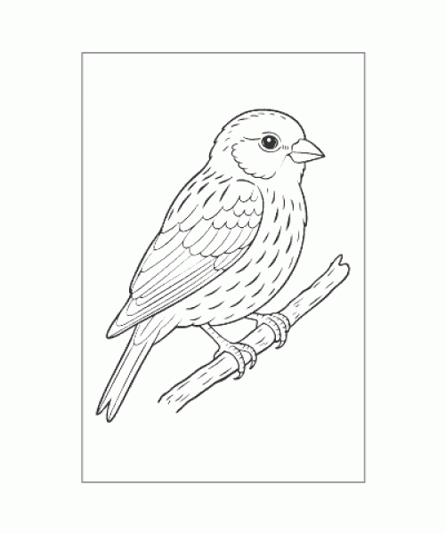 Ausmalbild Tiere 078