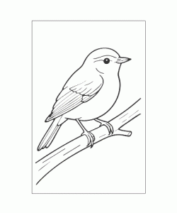 Ausmalbild Tiere 079