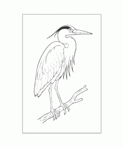 Ausmalbild Tiere 081