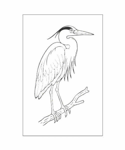 Ausmalbild Tiere 081