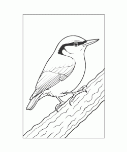 Ausmalbild Tiere 082