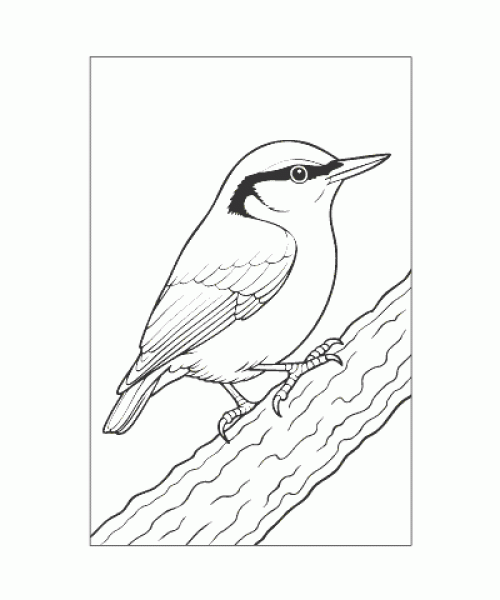 Ausmalbild Tiere 082