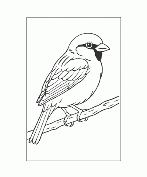 Ausmalbild Tiere 084