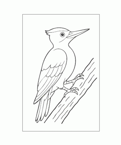 Ausmalbild Tiere 085