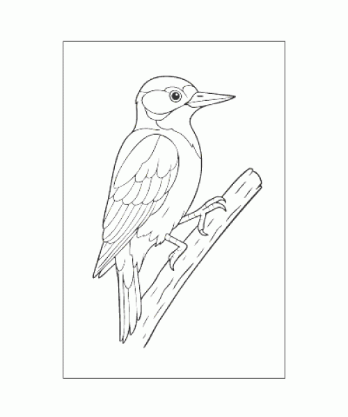 Ausmalbild Tiere 086