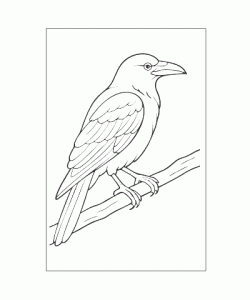 Ausmalbild Tiere 087