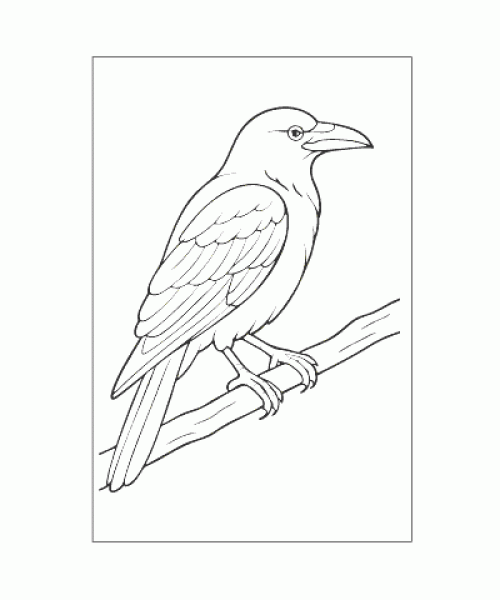 Ausmalbild Tiere 087