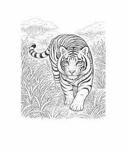 Ausmalbild-Tiger_023-1.gif