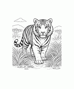 Ausmalbild-Tiger_030-1.gif